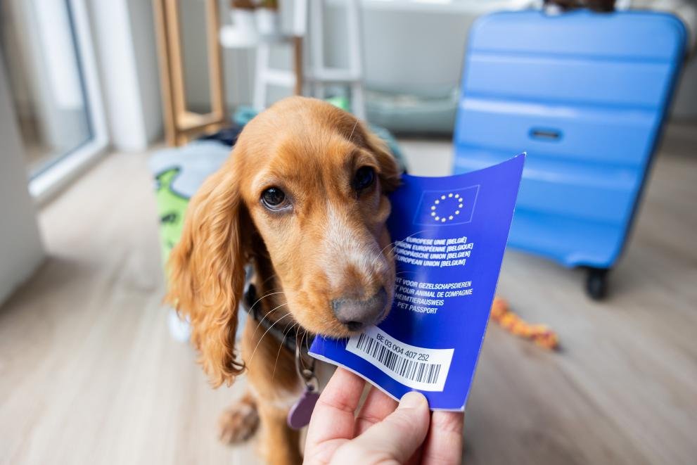 EU Pet Passport in Europe