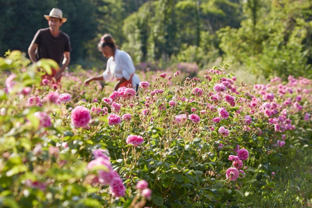 Enjoy the Beautiful Gardens