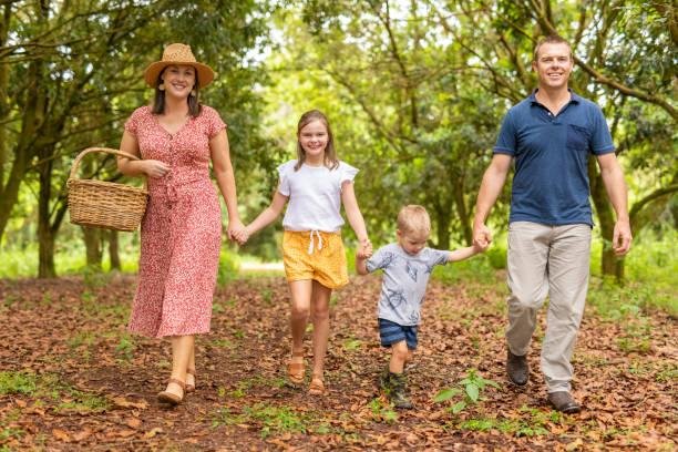 Visit a Macadamia Nut Farm