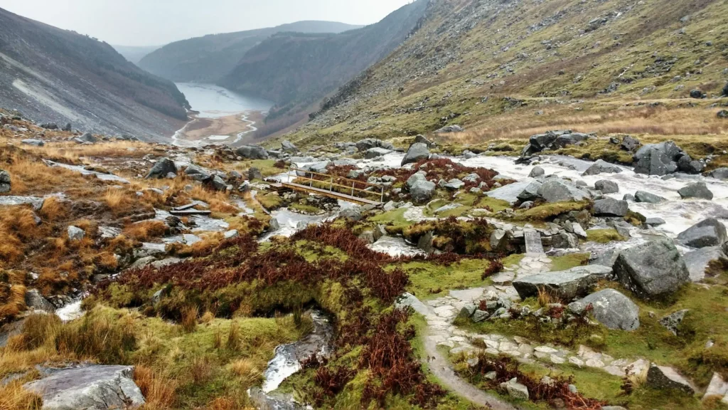 Wicklow Mountains