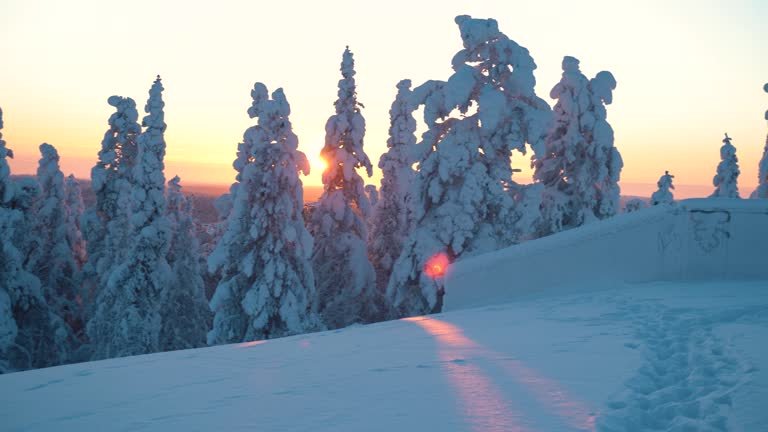 Saariselkä A Wilderness Wonderland