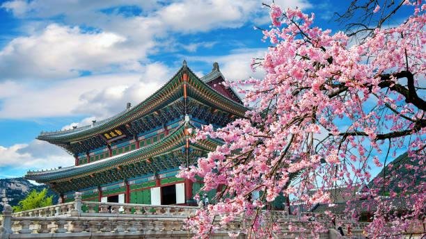 Top Experiences in Seoul for Solo Travelers