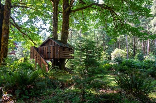 Treehotel in Harads