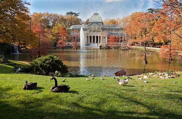 Is Madrid Worth Visiting? Top Reasons You’ll Love the City 2 Retiro Park