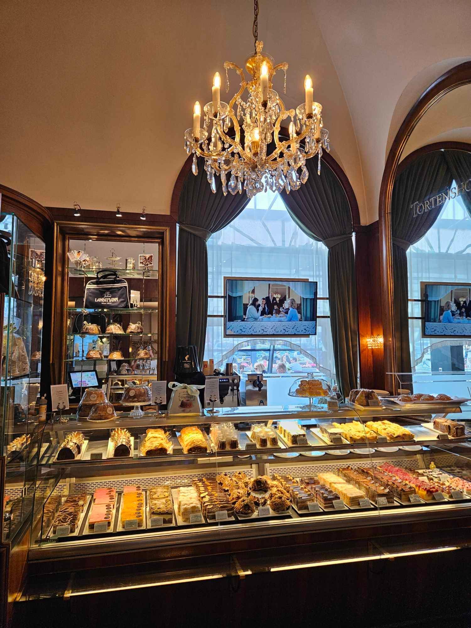 modern cafes in vienna