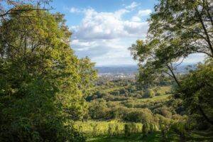 hiking trails vienna