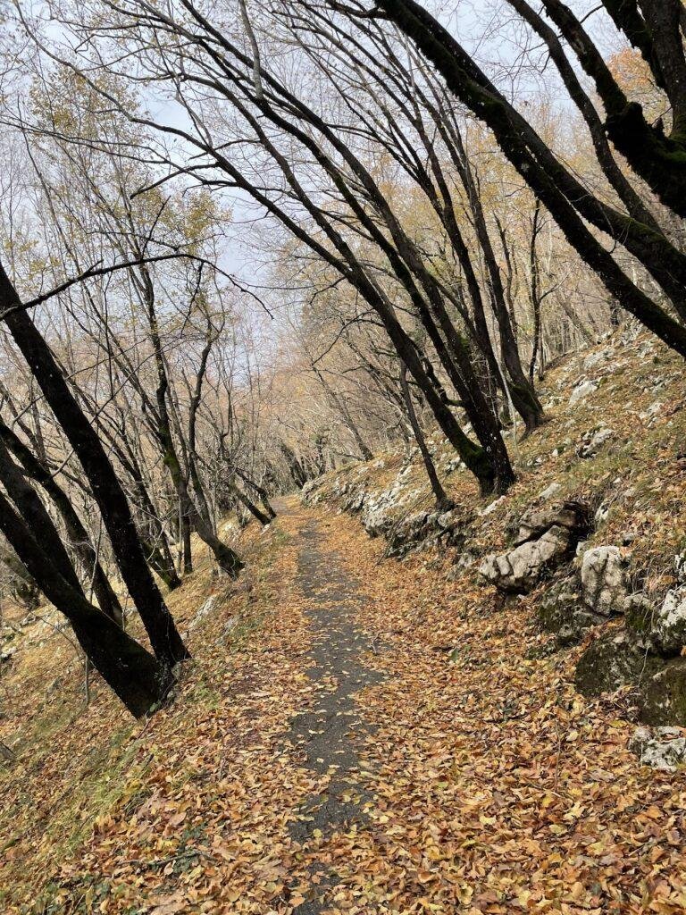 Hiking the Tujani Peak