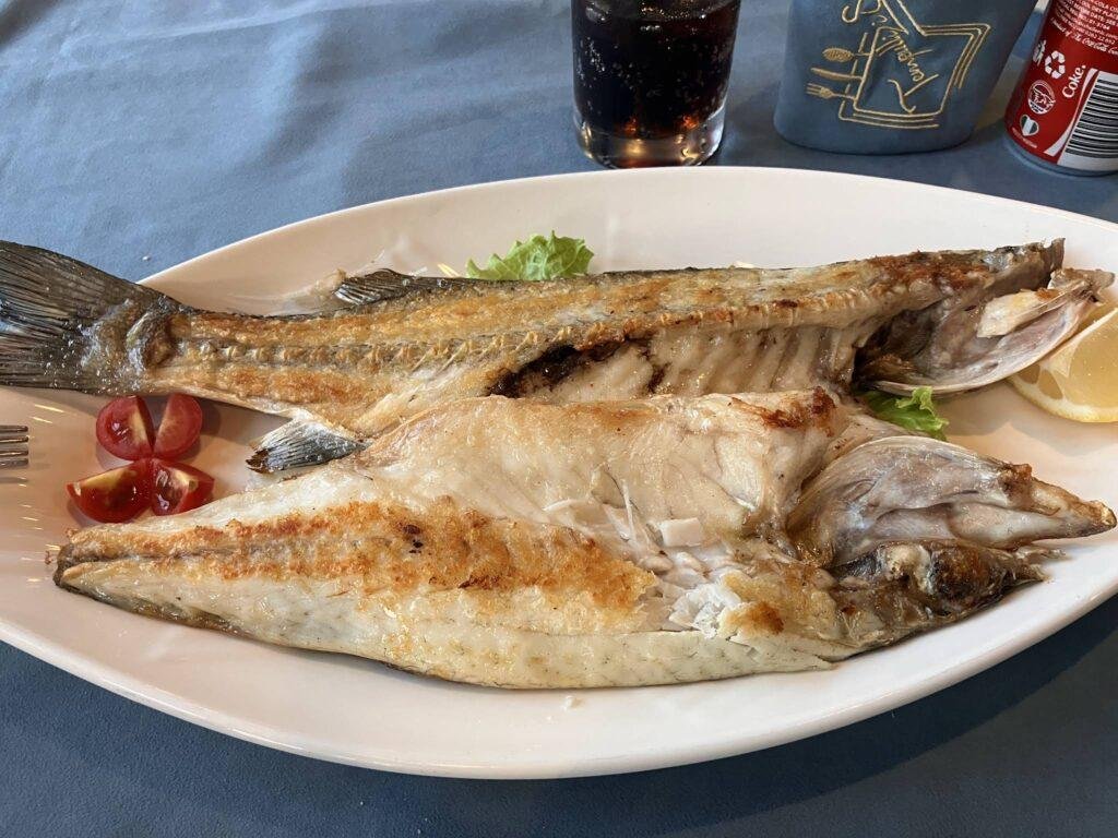 Restaurants in Shkoder for Fish