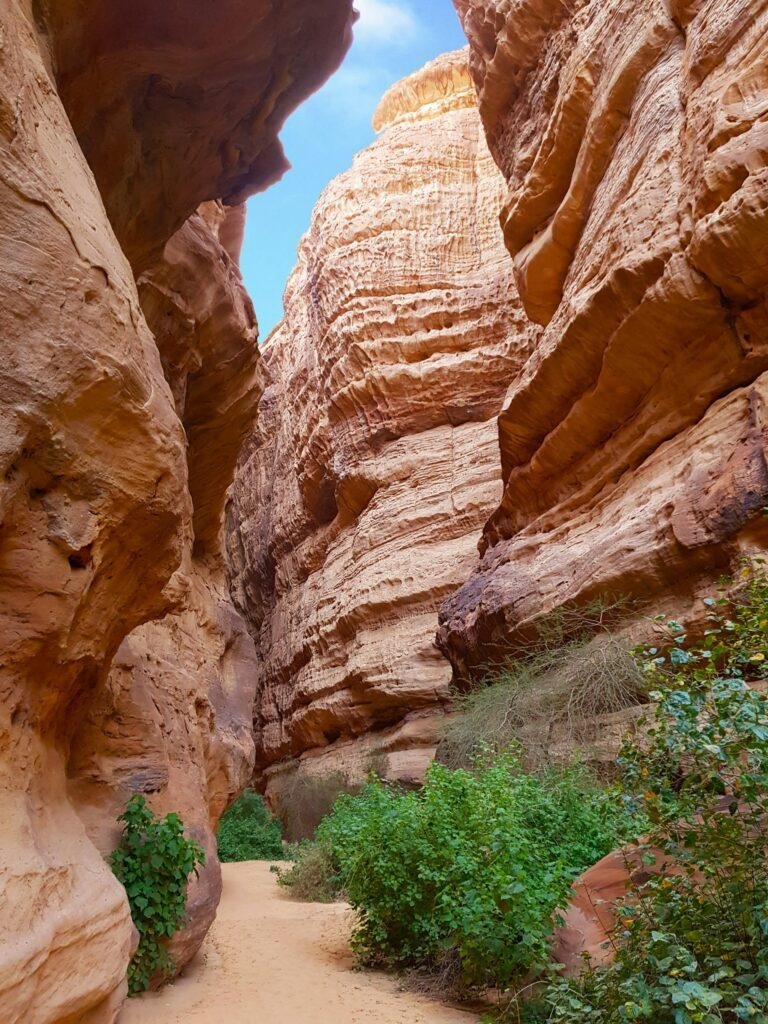 Can Non-Muslims Go to AlUla? What You Need to Know Before Visiting 15 Can Non-Muslims Go to AlUla