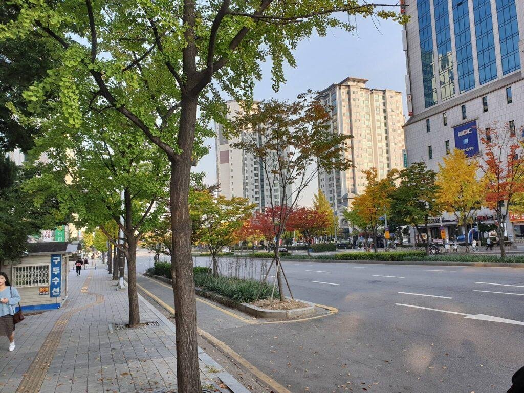 Where to Stay in Suwon: The Best Neighborhoods & Hotels by Traveler Type (2026) 2 Ingye dong downtown