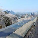 Best Time to Visit Suwon