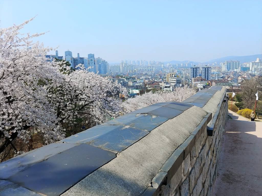 Best Time to Visit Suwon