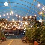 things to do in suwon at night