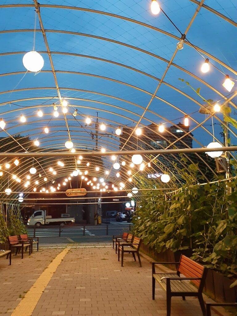 things to do in suwon at night
