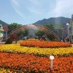 How to Get from Seoul to Suwon