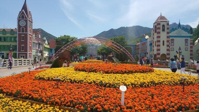 How to Get from Seoul to Suwon