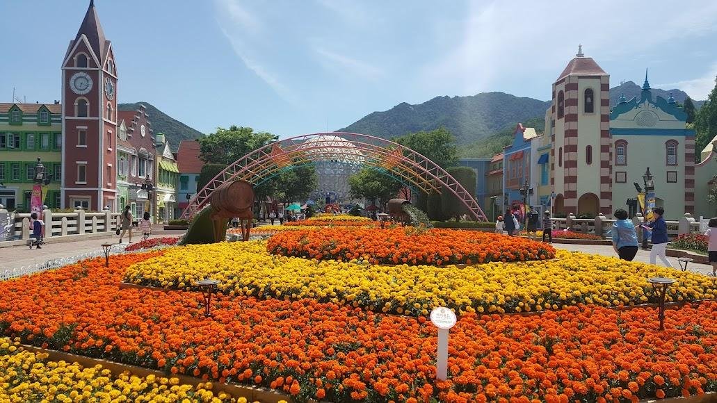 How to Get from Seoul to Suwon